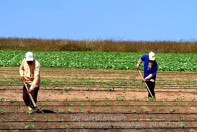 O turismo como forma de (re)valorização do espaço rural potiguar ... O turismo como forma de (re)valorização do espaço rural potiguar ...