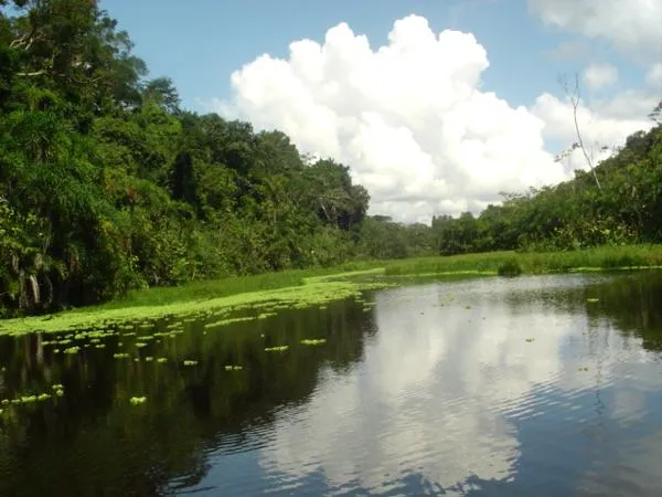 Turismo Peru: Vias de acceso para llegar a la Selva Peruana Turismo Peru: Vias de acceso para llegar a la Selva Peruana