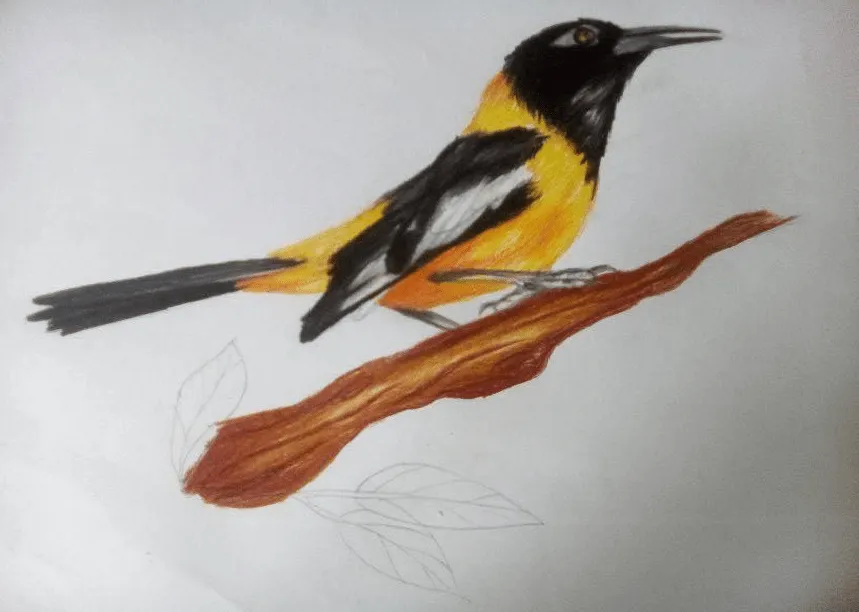 Turpial Venezolano pintado a mano alzada. | PeakD Turpial Venezolano pintado a mano alzada. | PeakD
