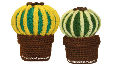 Tutorial: cactus redondo en dos colores tejido en la técnica del ...