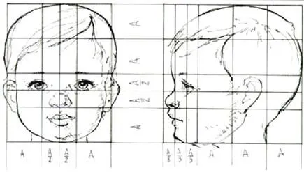 ARTISTICA NERUDA: OCTAVO.Contenidos de unidad dos. Proporciones ... ARTISTICA NERUDA: OCTAVO.Contenidos de unidad dos. Proporciones ...