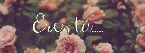 Fondos de flores con frases de amor - Imagui Fondos de flores con frases de amor - Imagui