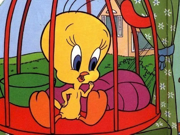 Tweety Bird - Tweety Bird Photo (3847696) - Fanpop Tweety Bird - Tweety Bird Photo (3847696) - Fanpop