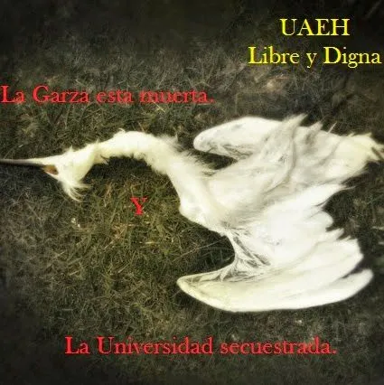 UAEH