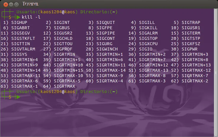 ubuntu-guia: Comandos básicos para la terminal de Ubuntu ubuntu-guia: Comandos básicos para la terminal de Ubuntu