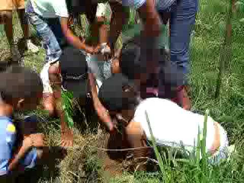 UBV Proyecto Kabudari Programa Ambiental niños sembrando plantas ... UBV Proyecto Kabudari Programa Ambiental niños sembrando plantas ...