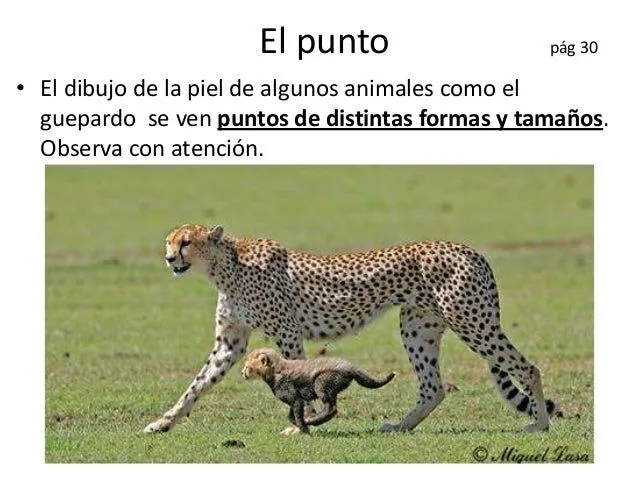 Ud2 los elementos visuales de la expresión plástica punto línea,t… Ud2 los elementos visuales de la expresión plástica punto línea,t…