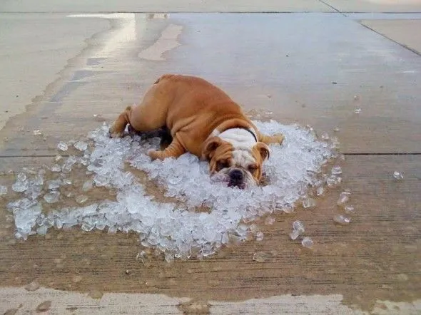 Uff Que Calor | Hola XD