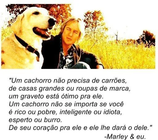 De cachorros con frases - Imagui