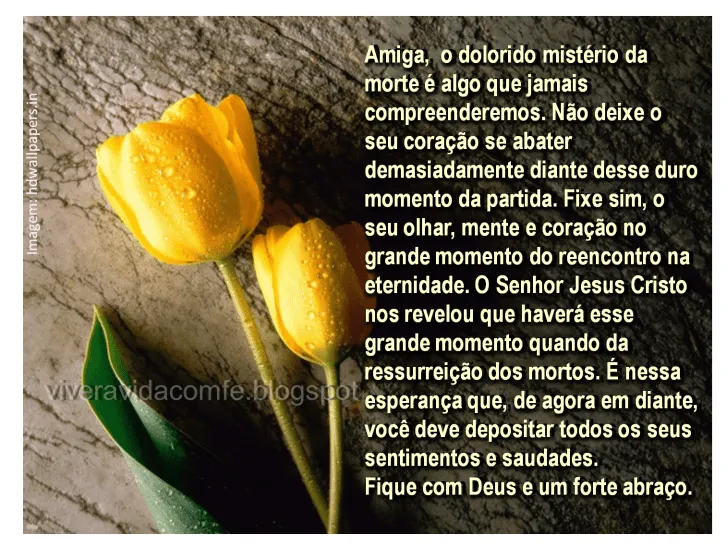 Mensagem de consolo para quem perdeu um ente querido - Imagui Mensagem de consolo para quem perdeu um ente querido - Imagui