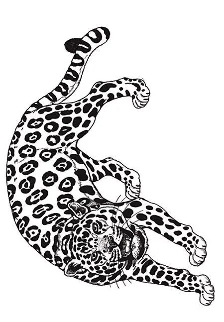 umbrella_mural_coloring_jaguar ...