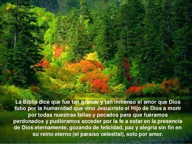 un-mensaje-por-navidad-10-638. ...