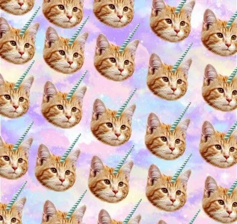 UnaChicaRara♥ — Caticorn