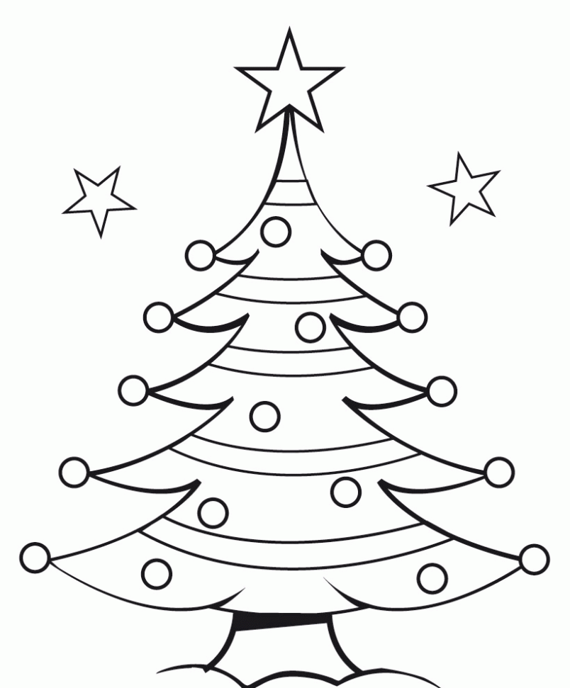 Unamoscaenmiescaparate: Árboles de Navidad para los escaparates Unamoscaenmiescaparate: Árboles de Navidad para los escaparates