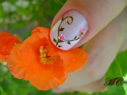 Lo más nuevo de uñas de acrílico 2013 - Imagui Lo más nuevo de uñas de acrílico 2013 - Imagui