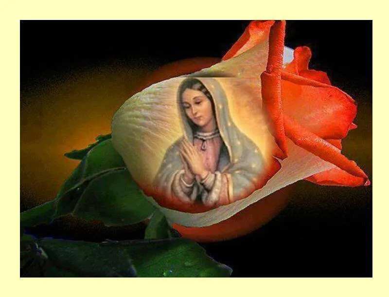 Uncategorized | cronicadeunatraicion | Página 17 Uncategorized | cronicadeunatraicion | Página 17