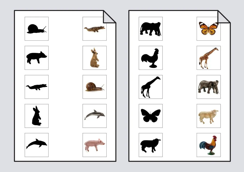 Une cada animal con su silueta: Discriminación visual #Soyvisual Une cada animal con su silueta: Discriminación visual #Soyvisual