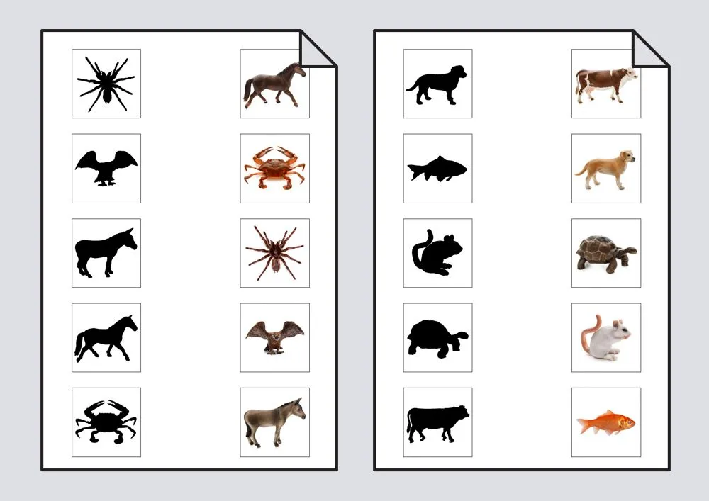 Une cada animal con su silueta: Discriminación visual #Soyvisual Une cada animal con su silueta: Discriminación visual #Soyvisual