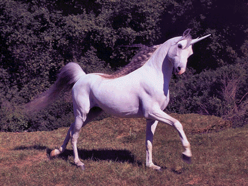 unicornio morado | Tumblr