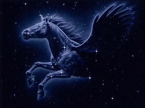 Unicornios y pegasos - Taringa!