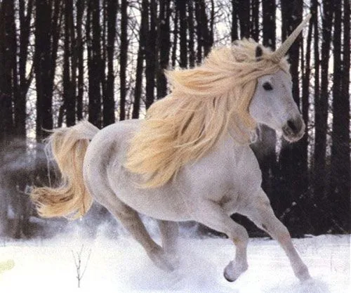 Los Unicornios son… | Entre burbujas de luz