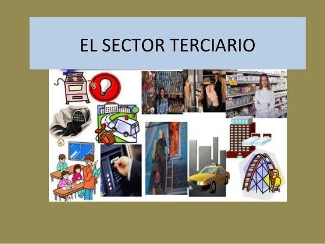 Unidad 10 El Sector terciario