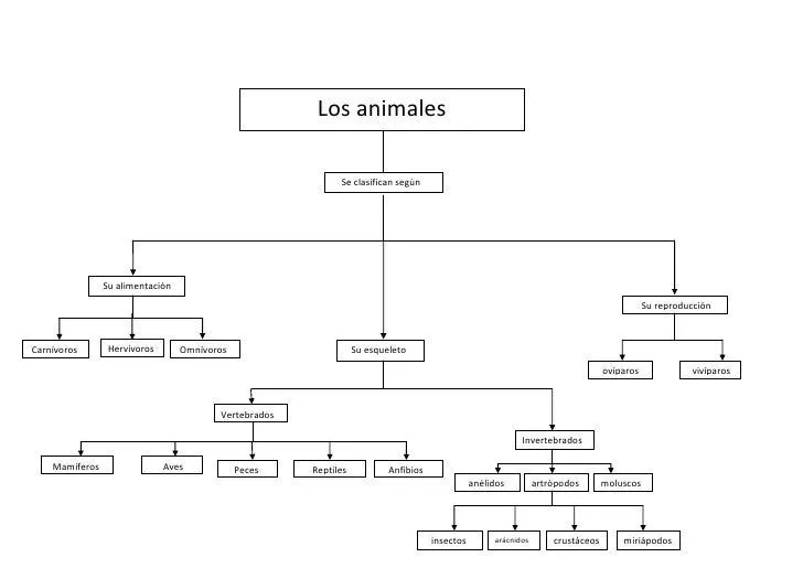 Unidad Didáctica