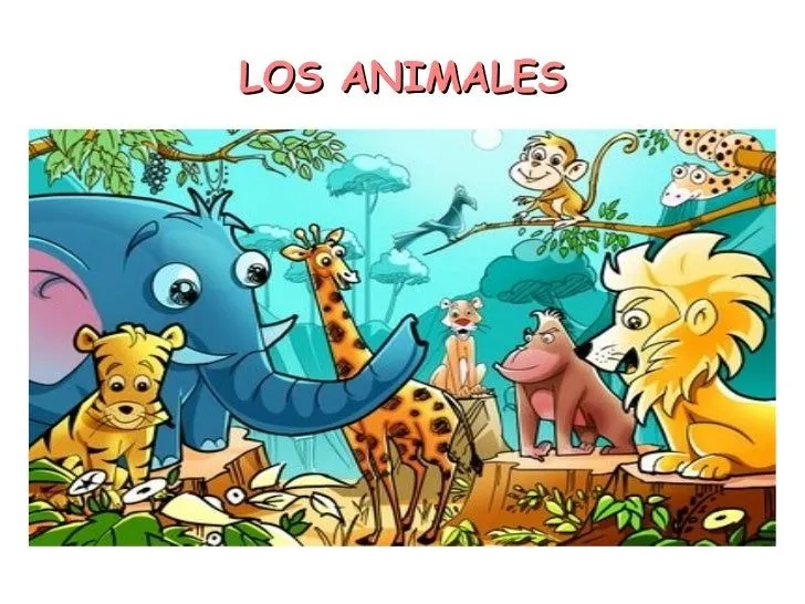 Unidad didáctica los animales