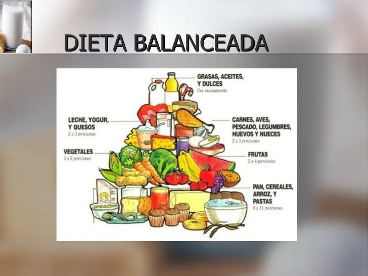 Unidad Didactica De Lipidos