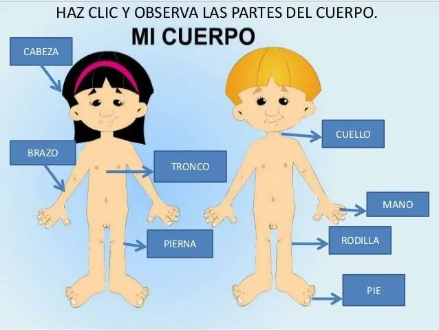 Unidad digital el cuerpo humano 4 años