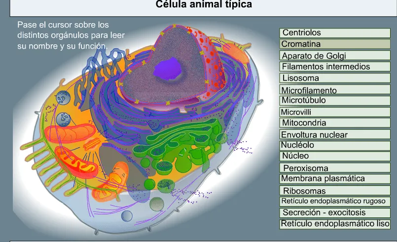 Unidad uno: Los seres vivos | AMIGOS DE LAS CIENCIAS GRADO TERCERO