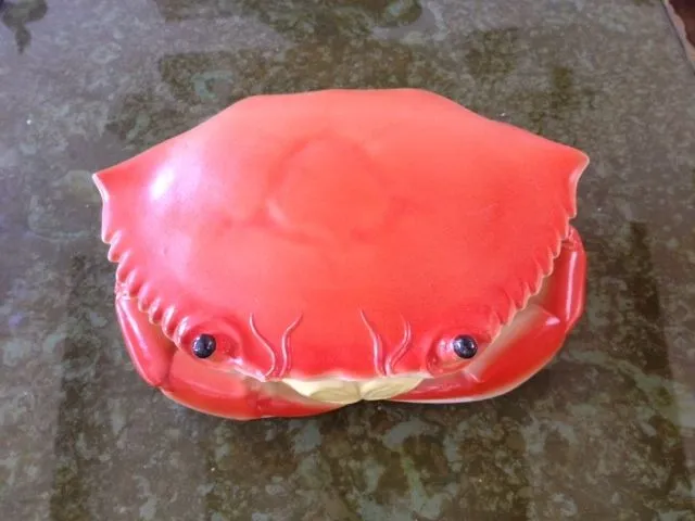 Universo cangrejo | La inmortalidad del cangrejo