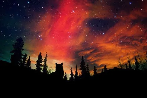 el universo | Tumblr