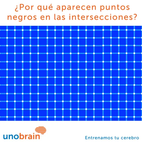 Unobrain, entrenamos tu cerebro, ¿Por qué aparecen y desaparecen ...