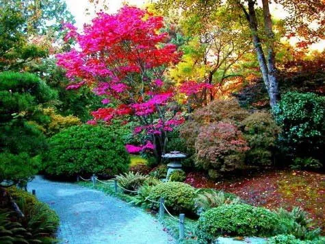 Un_sueño_imposible: Secretos de la redaccion 1 y 2