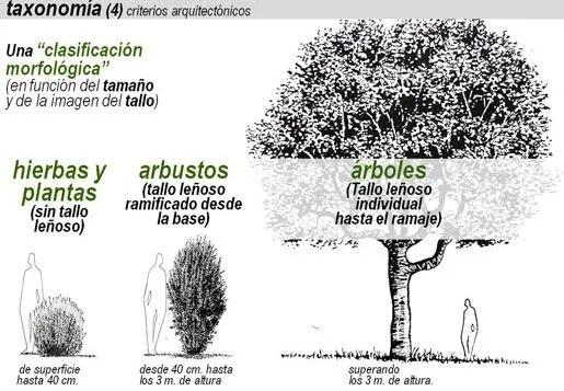 Urban Networks: Itinerarios para una Arquitectura del Paisaje ...