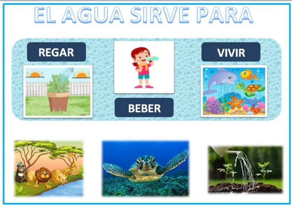 Usos del agua - Ficha interactiva | Activities, Online activities, Abs