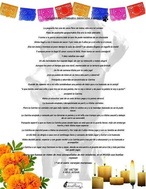Para ustedes, nuestro amor eterno... — Animal Rest Para ustedes, nuestro amor eterno... — Animal Rest