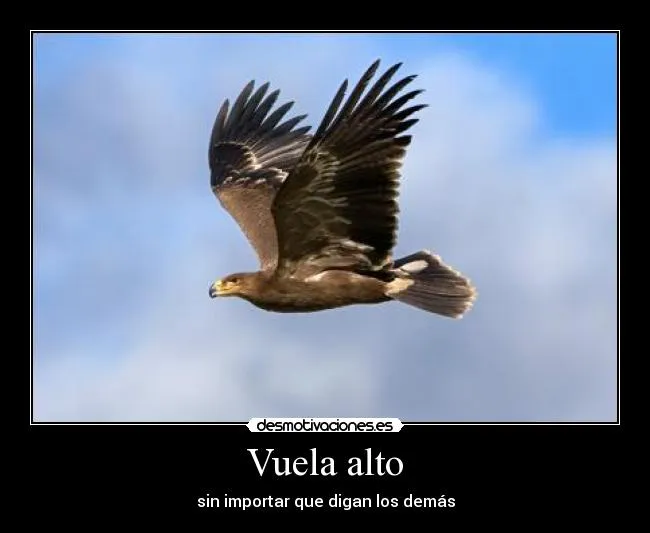 Usuario: aguila18 | Desmotivaciones