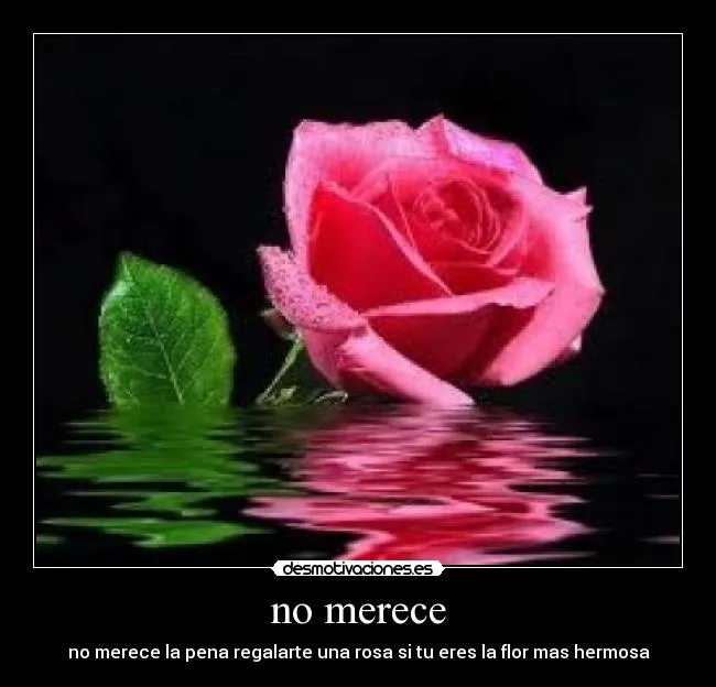 Usuario: alexnq | Desmotivaciones