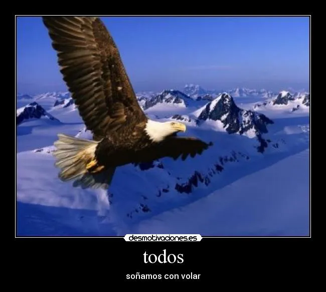 Usuario: alexnq | Desmotivaciones