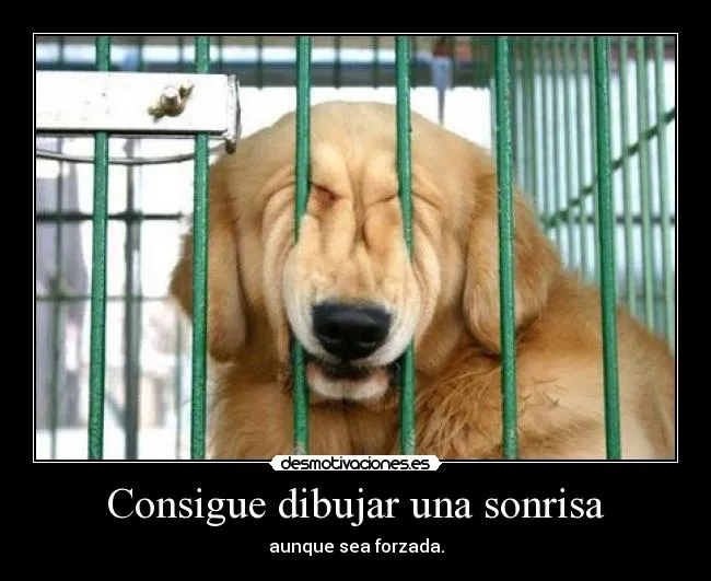 Consigue dibujar una sonrisa | Desmotivaciones Consigue dibujar una sonrisa | Desmotivaciones