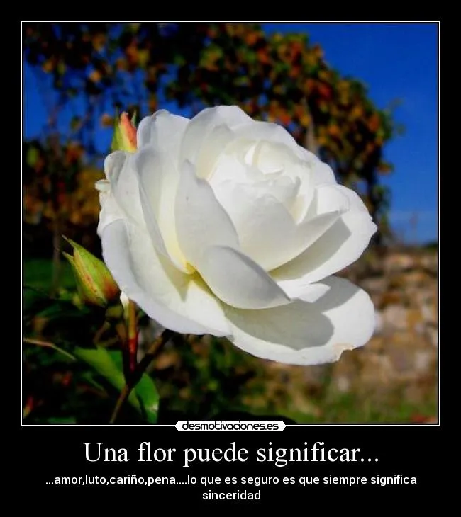 Usuario: andresfb | Desmotivaciones