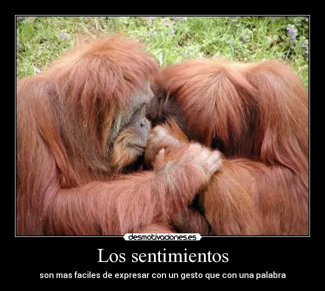Usuario: ani17 | Desmotivaciones