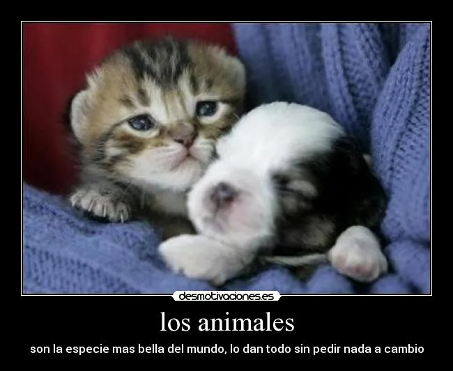 Carteles de Peritos | Desmotivaciones