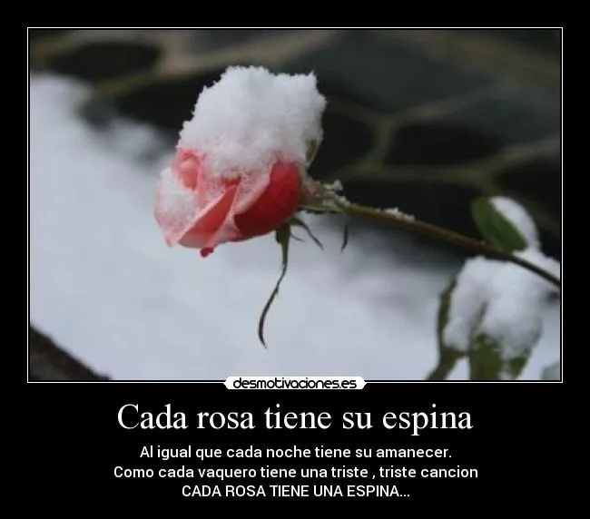 Usuario: belenutis | Desmotivaciones