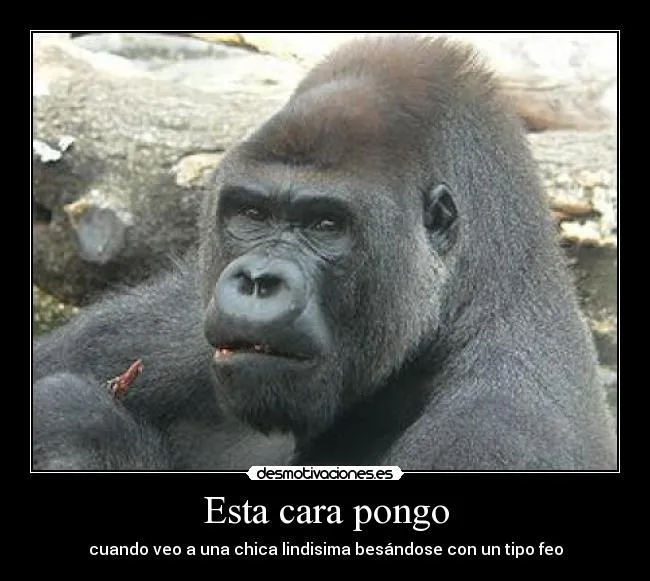 Usuario: bio904 | Desmotivaciones