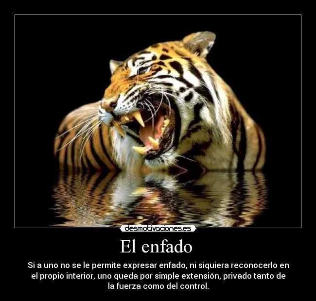 Usuario: bryanjose | Desmotivaciones