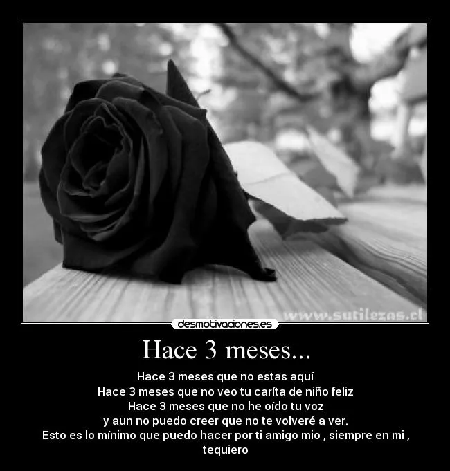 Usuario: bugsbunny | Desmotivaciones