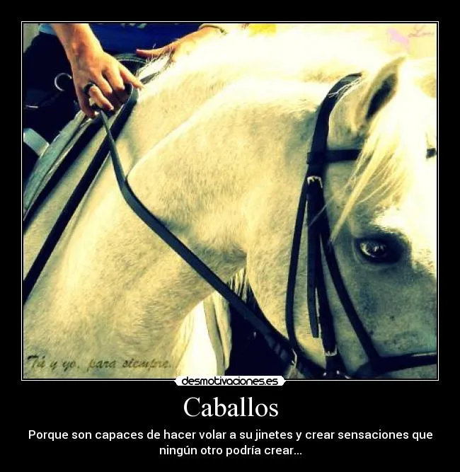 Usuario: caballista20 | Desmotivaciones